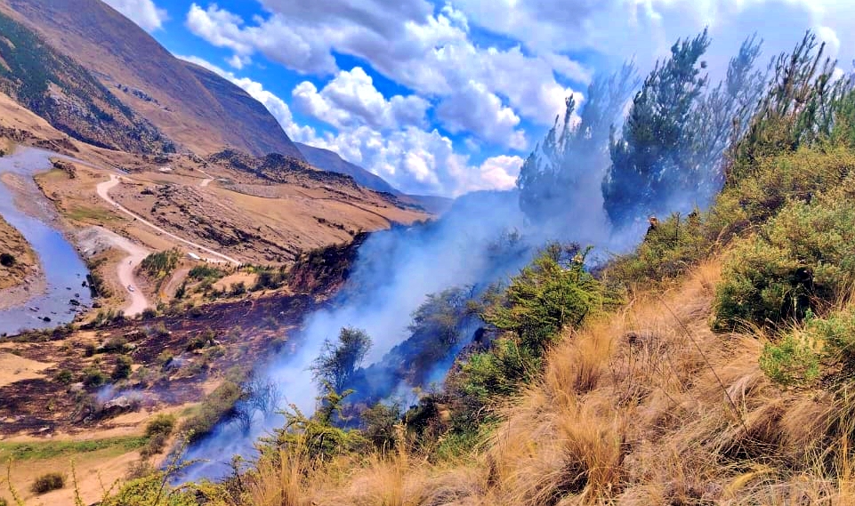 INCENDIOS FORESTALES ARRASAN EXTENSAS ÁREAS DE VEGETACIÓN Y FLORA NATIVA EN APURÍMAC
